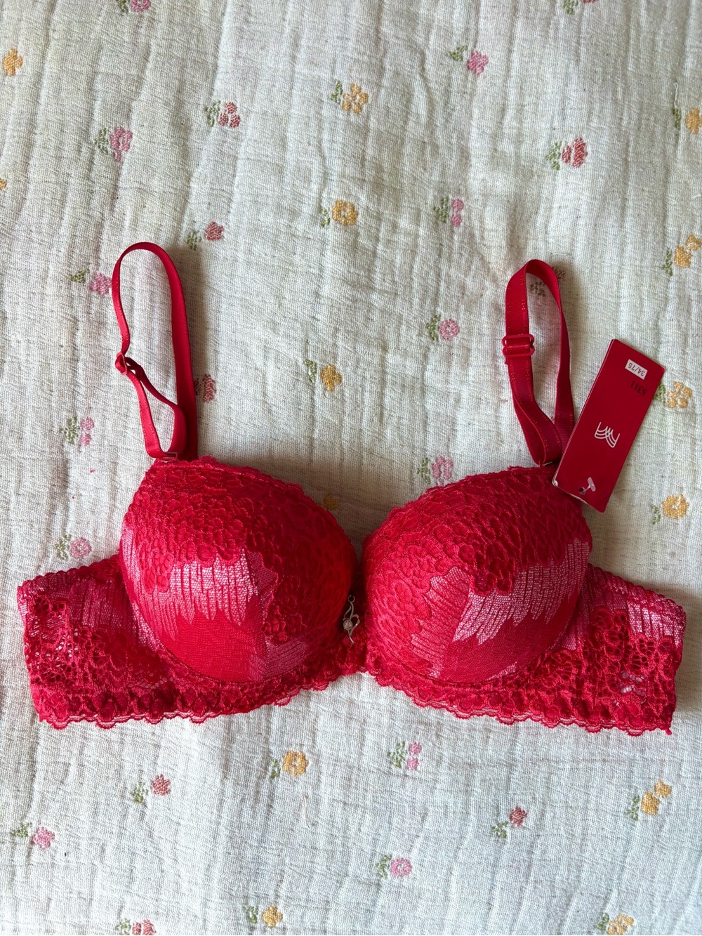 NWT VINTAGE 2000’s Red Lace Push-Up Bra Lingerie